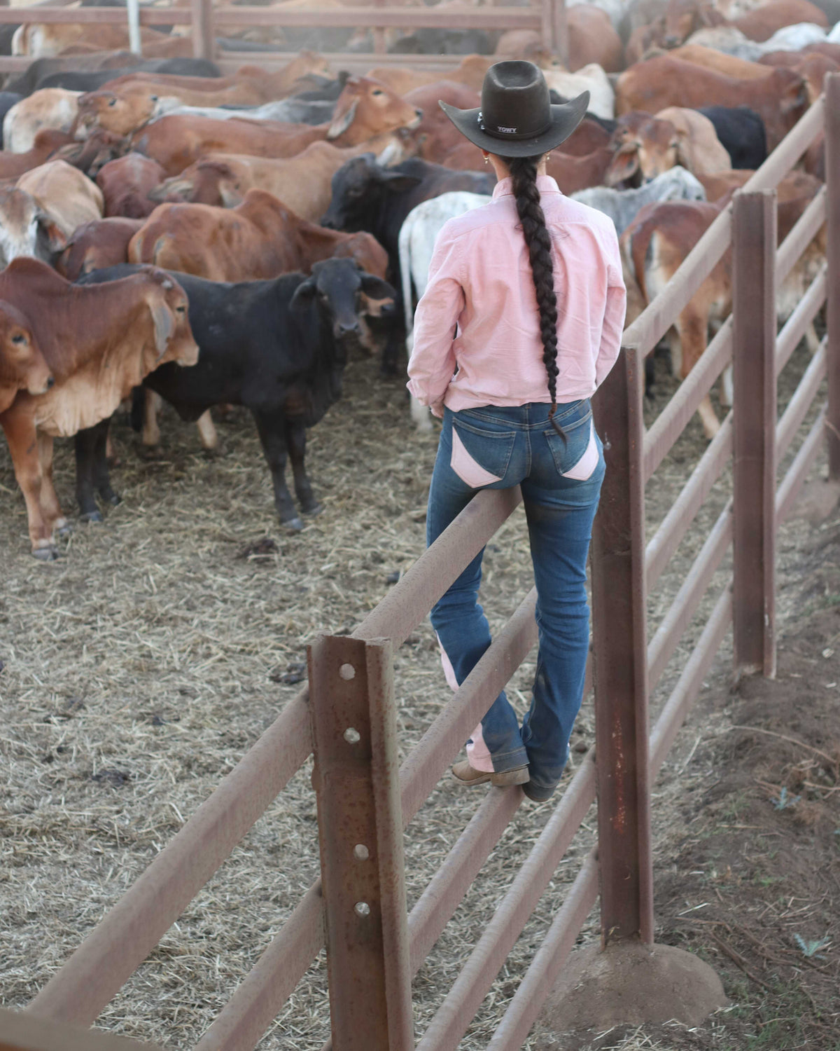 Cowgirl Crush Original Performance Jeans in Pink