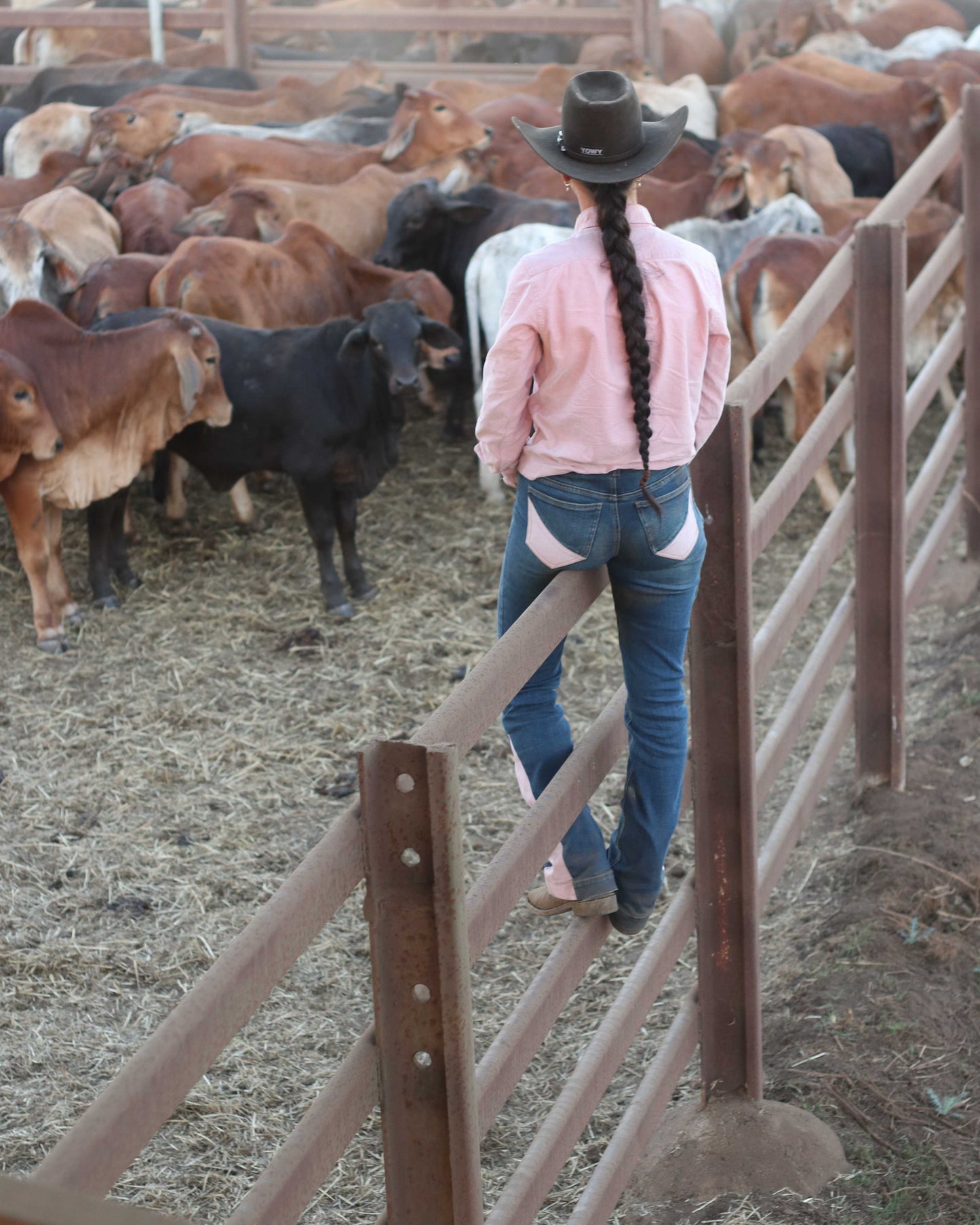 Cowgirl Crush Original Performance Jeans in Pink